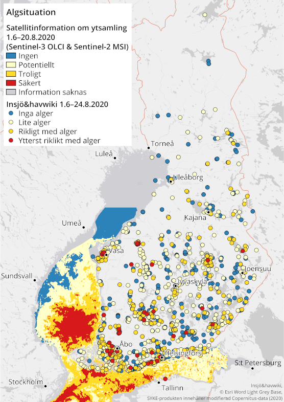 Pintaleväkooste levätiedote sv